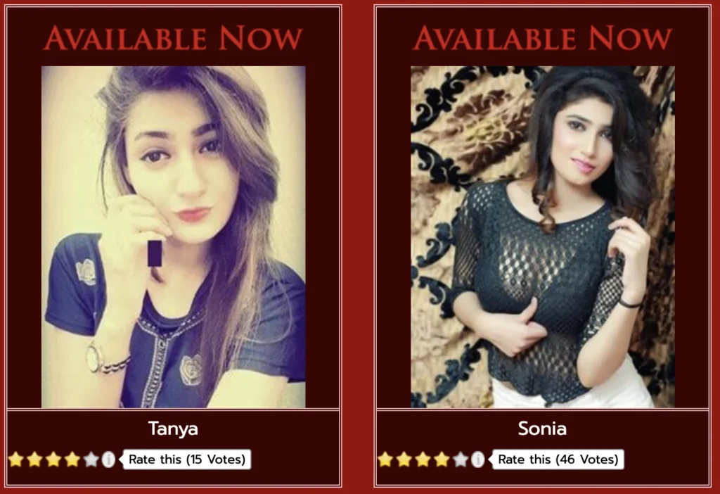 Why choose our escort service in Udaipur?